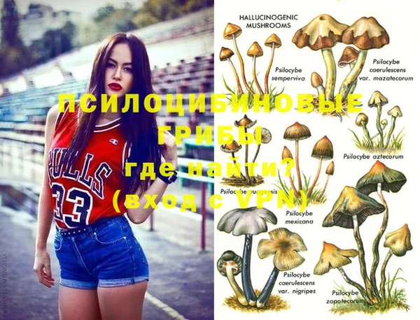 дживик Балабаново